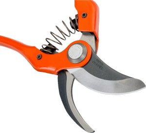 20220104142426_bb8e5c9f (1)